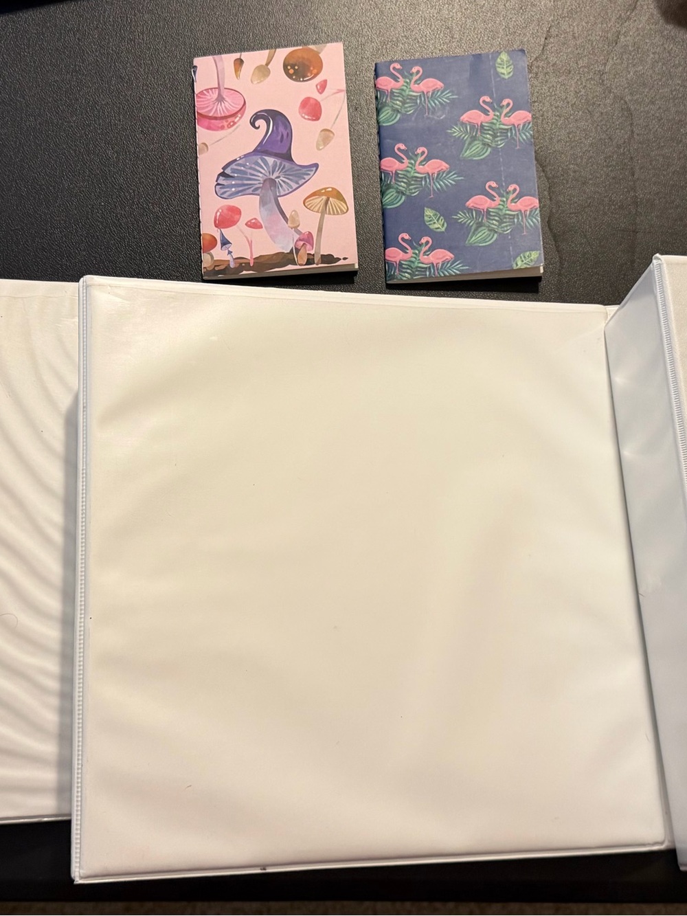 3 ring binders and Decorative Notebooks